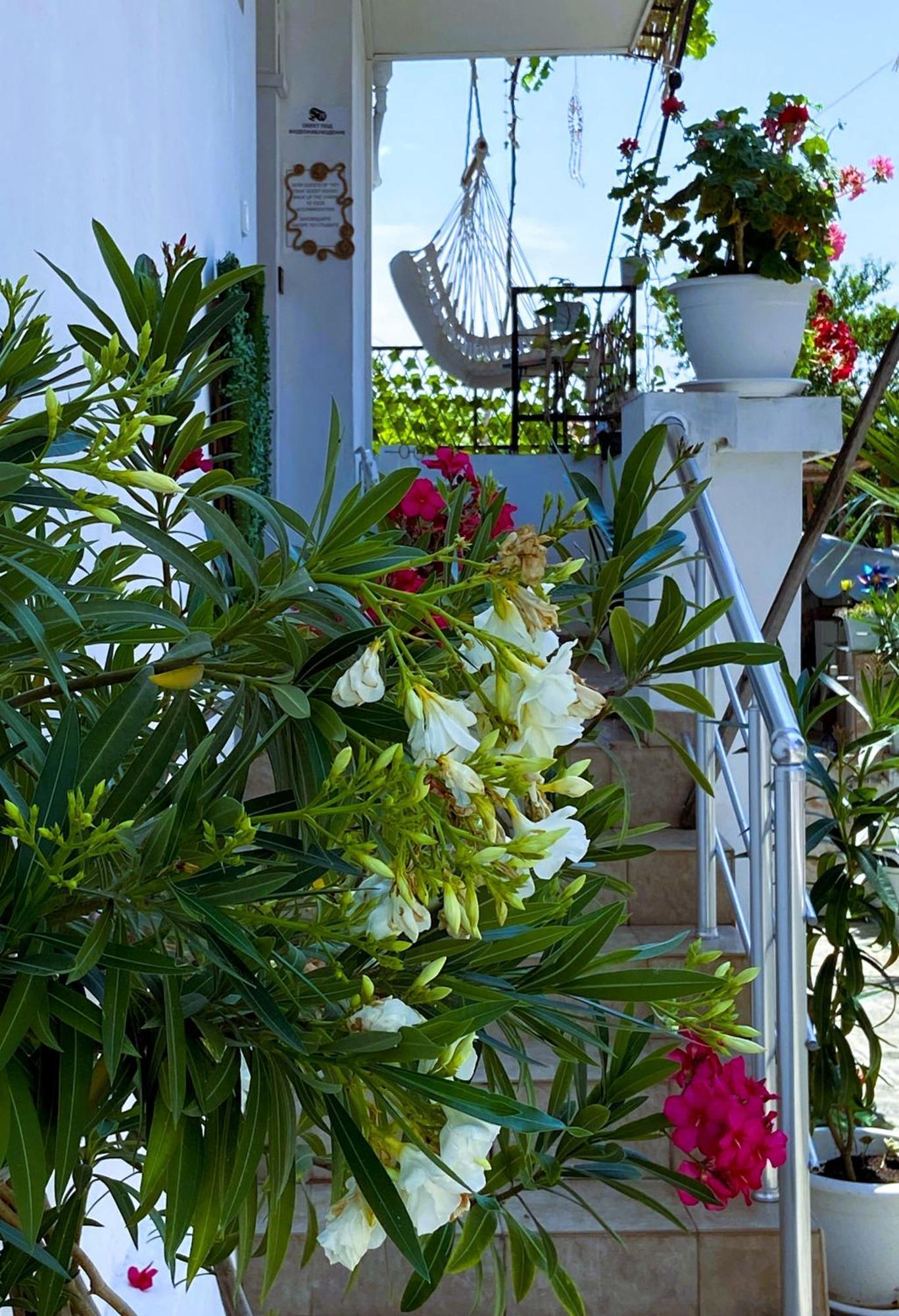Guest House Hei Taka Созополь Экстерьер фото